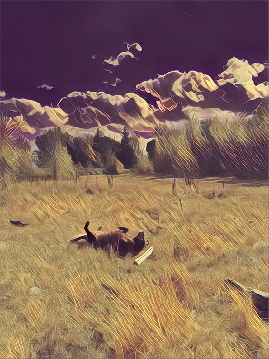 A day in autumn
