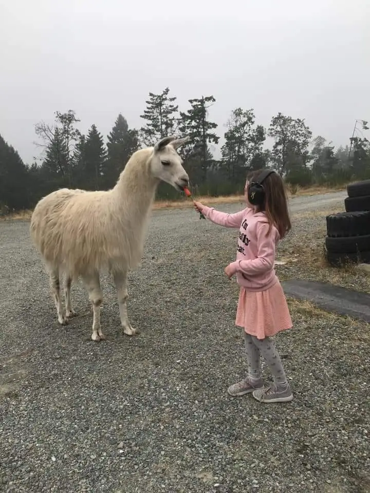 Otis gets fed