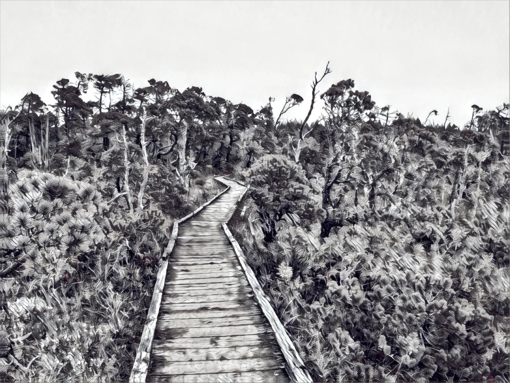 walkway